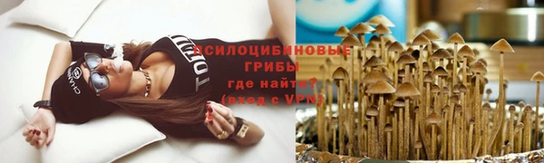 спайс Богородицк