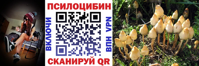 наркотики  Вельск  Псилоцибиновые грибы Magic Shrooms 